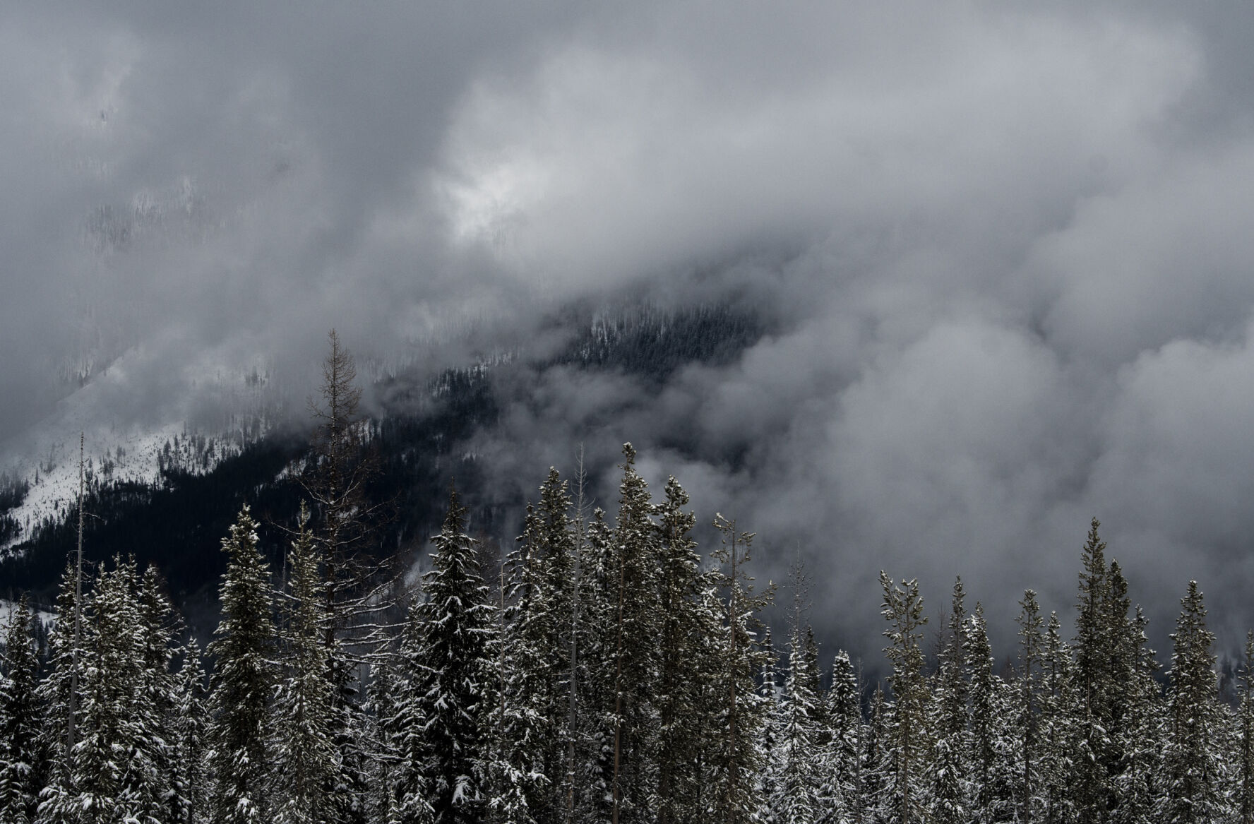 Territory: Lookout Pass 03